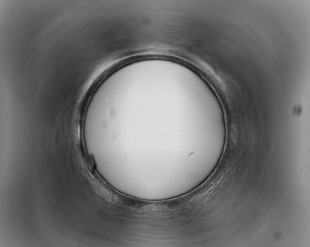 X0000098211368200805151242