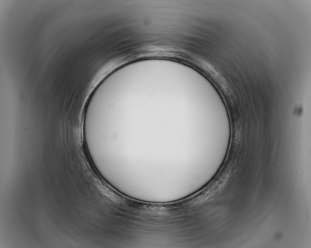 X0000098211370200805151242