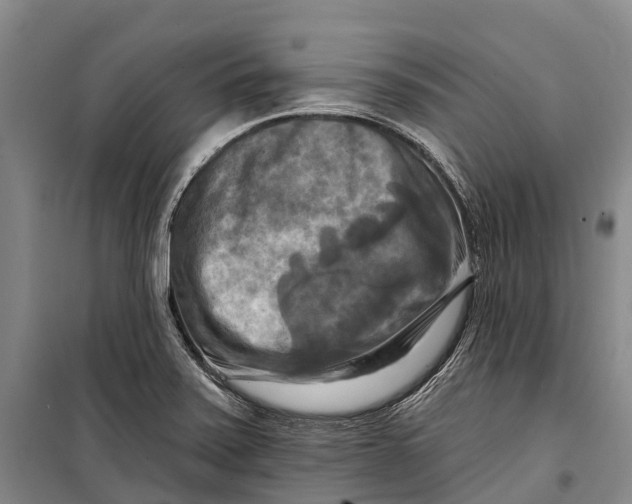 X0000098211371200805151242