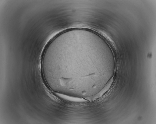X0000098211372200805151242
