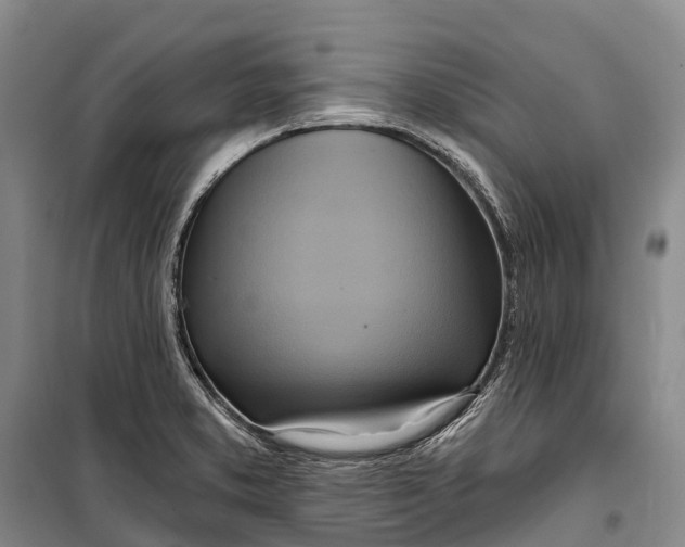 X0000098211373200805151242