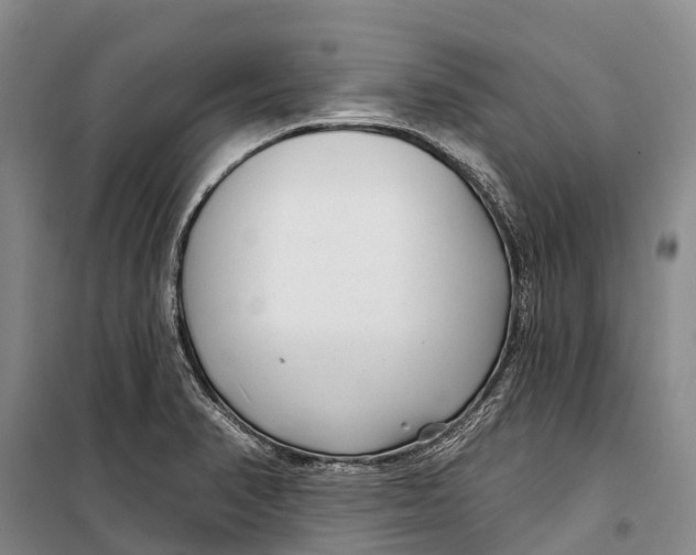 X0000098211374200805151242