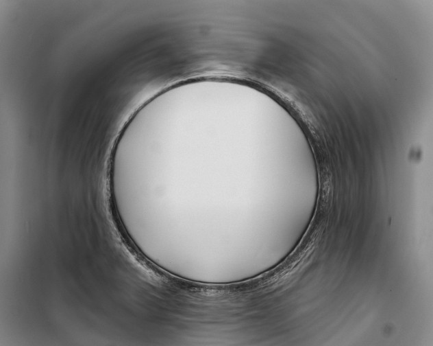 X0000098211375200805151242