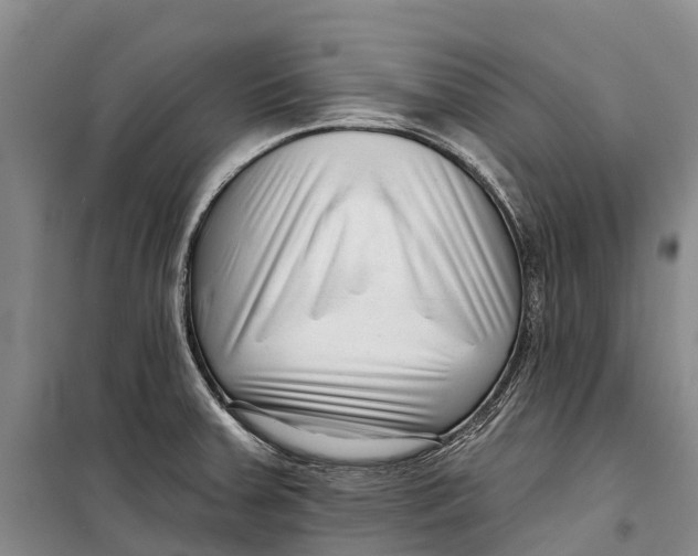 X0000098211379200805151242
