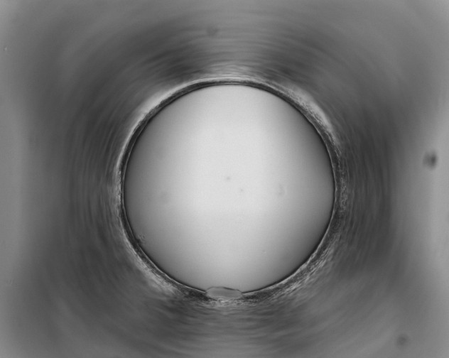 X0000098211380200805151242