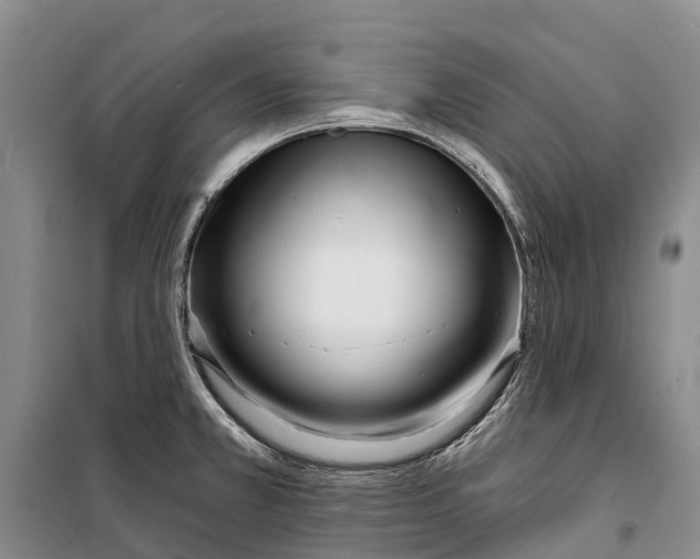 X0000098211381200805151242
