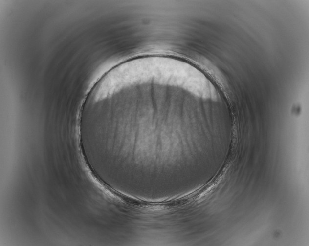 X0000098211382200805151242
