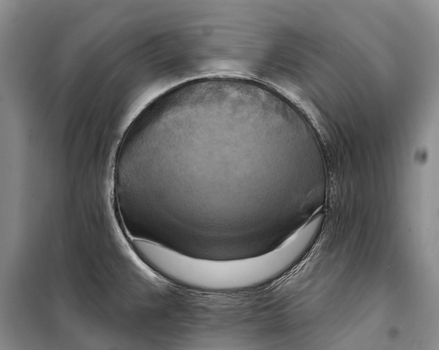 X0000098211383200805151242