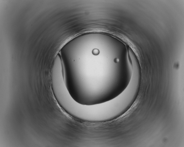 X0000098211385200805151242