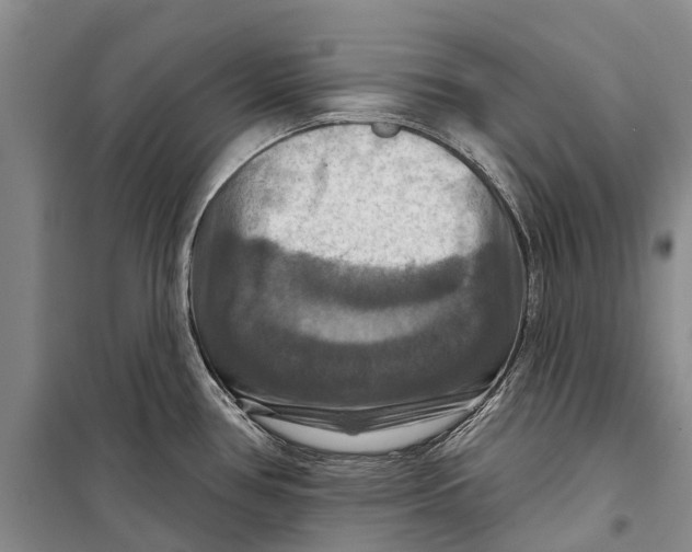 X0000098211386200805151242