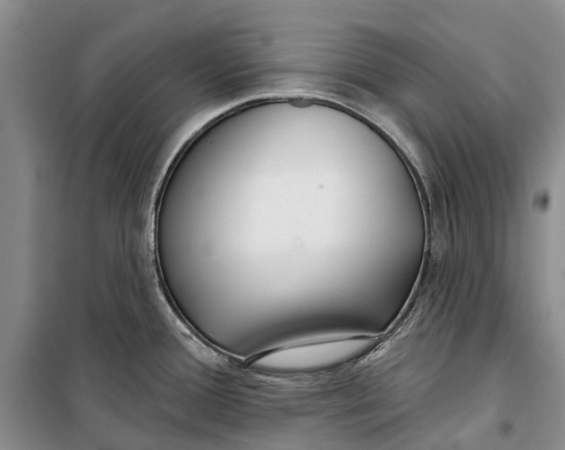 X0000098211388200805151242