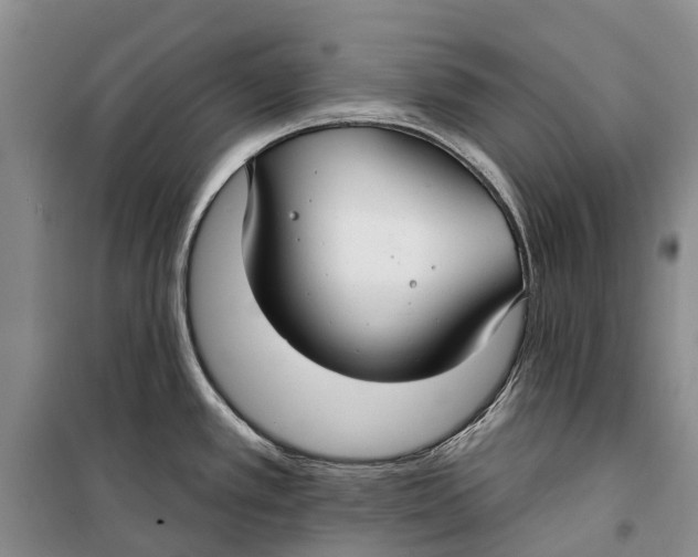 X0000098211389200805151242