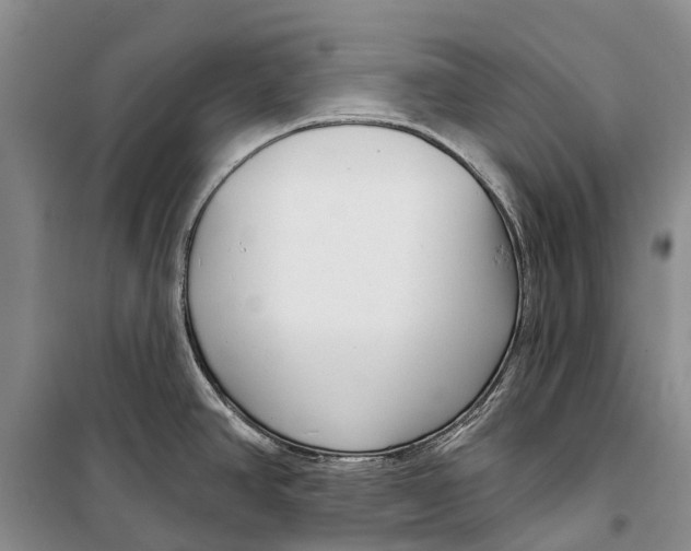 X0000098211390200805151242