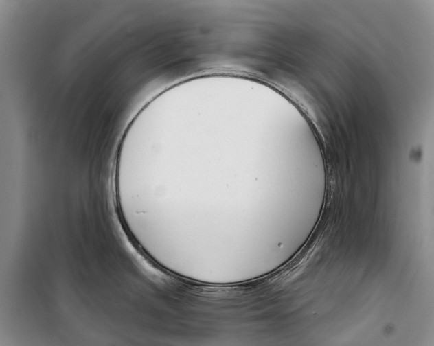 X0000098211391200805151242