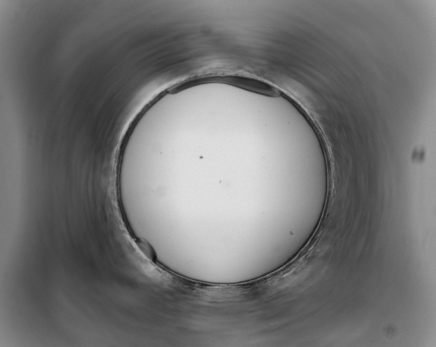 X0000098211392200805151242