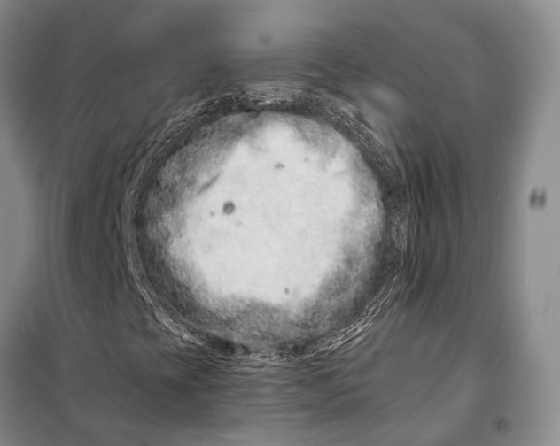 X0000098211393200805151241