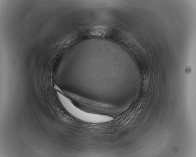 X0000098211394200805151241