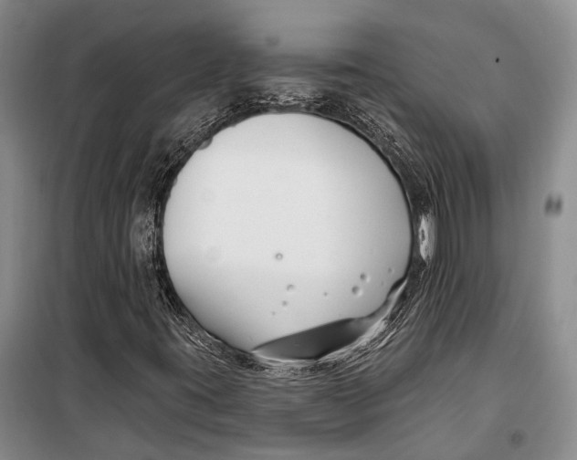 X0000098211395200805151241