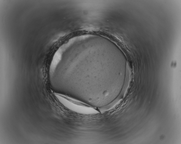 X0000098211398200805151241
