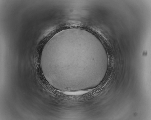 X0000098211399200805151241