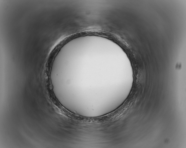X0000098211400200805151241