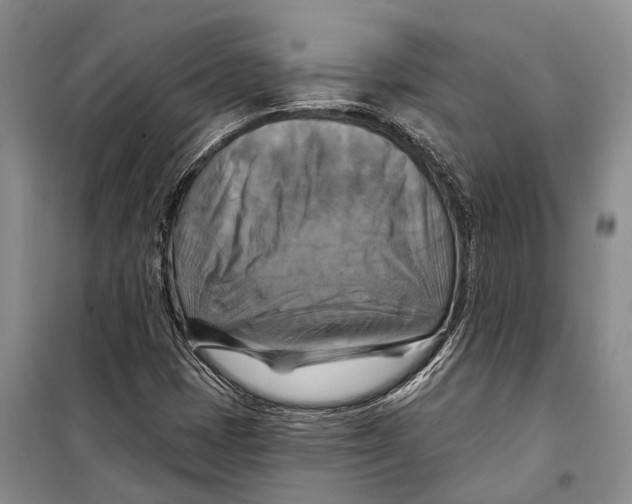 X0000098211401200805151241