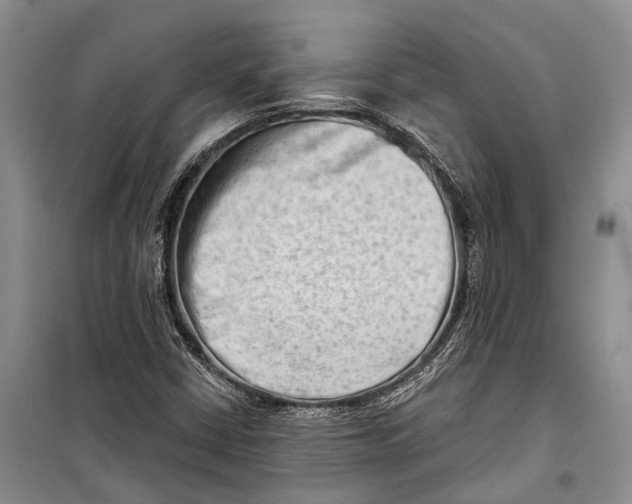 X0000098211402200805151241