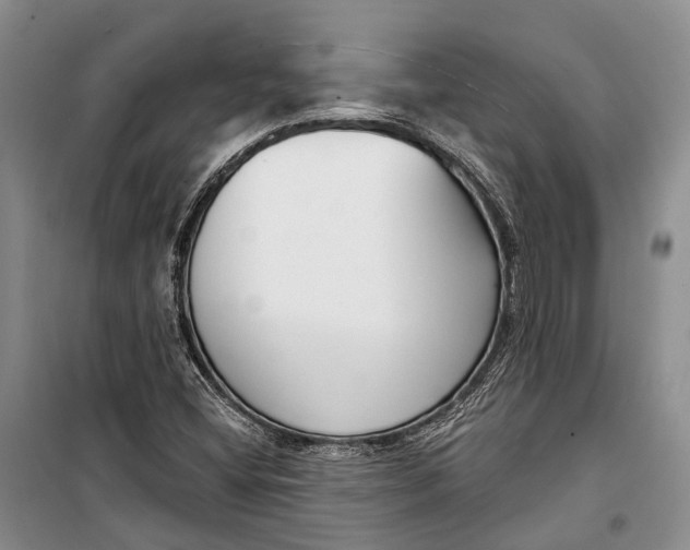 X0000098211404200805151241
