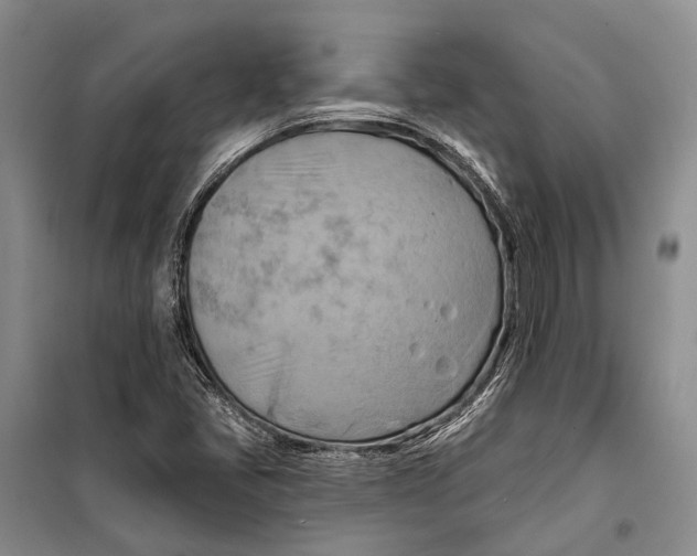 X0000098211405200805151241