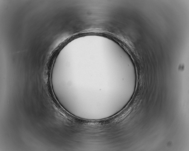 X0000098211406200805151241