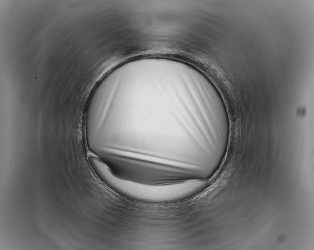 X0000098211409200805151241
