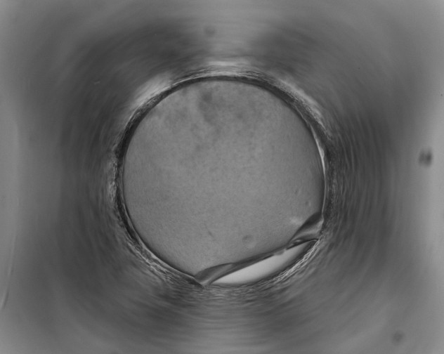 X0000098211411200805151241