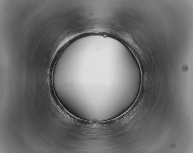 X0000098211412200805151241