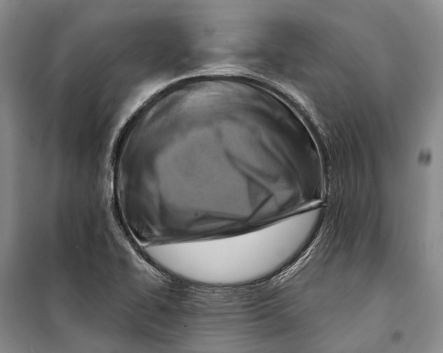 X0000098211414200805151241