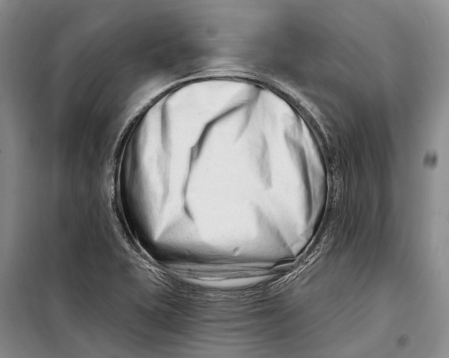 X0000098211415200805151241