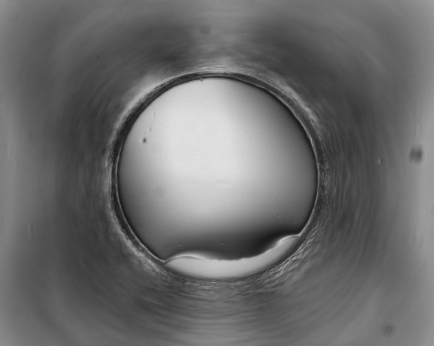 X0000098211416200805151241