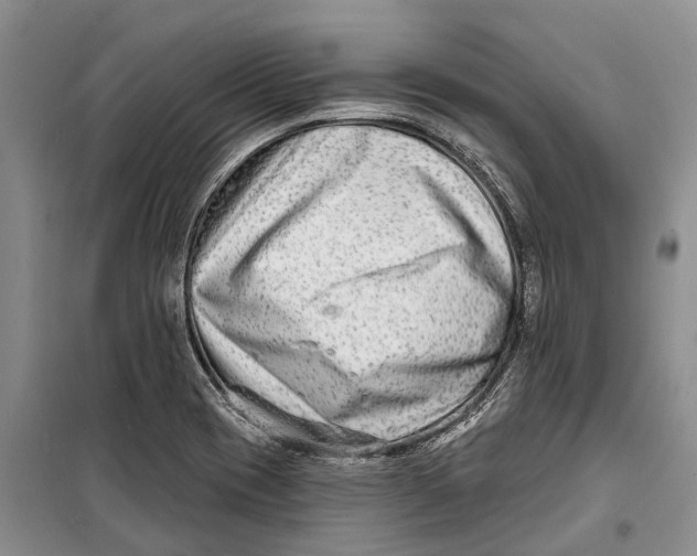 X0000098211417200805151241