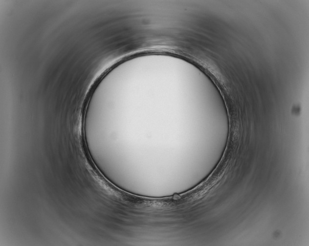 X0000098211420200805151241