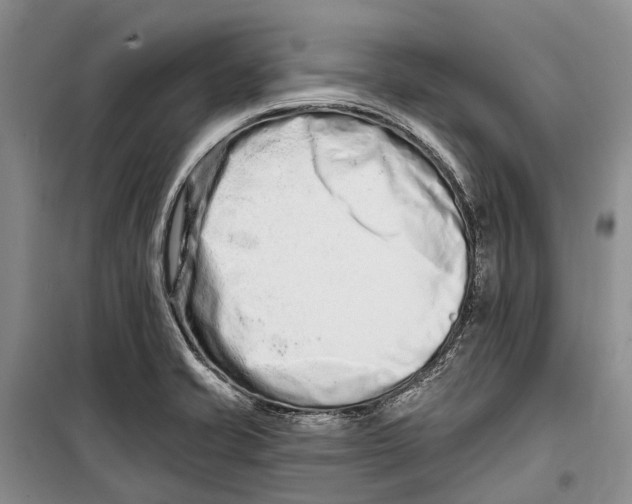 X0000098211421200805151241