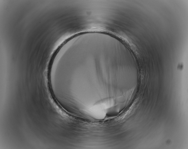 X0000098211422200805151241