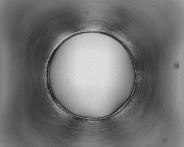 X0000098211423200805151241