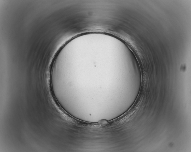 X0000098211424200805151241