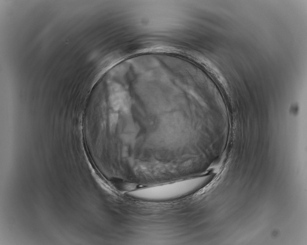 X0000098211425200805151241