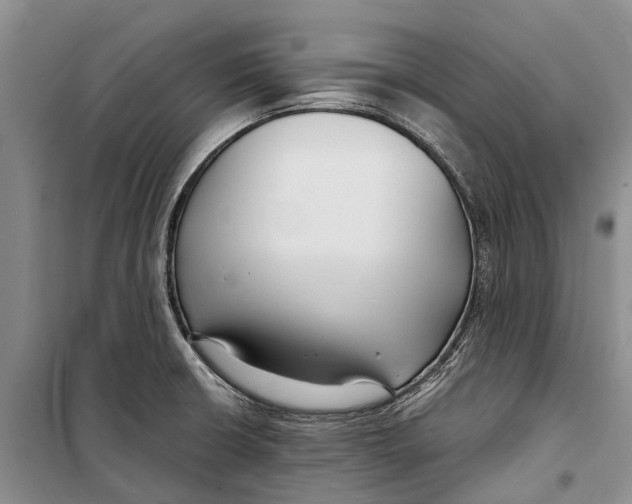 X0000098211426200805151241
