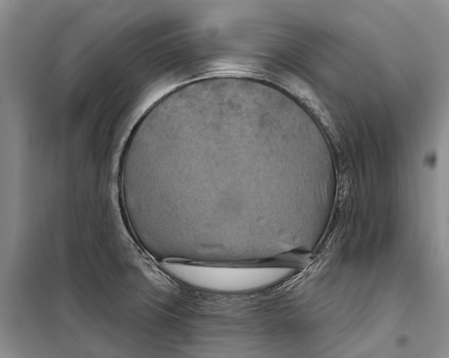 X0000098211427200805151241