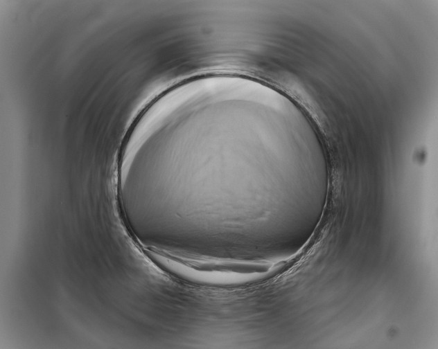 X0000098211428200805151241