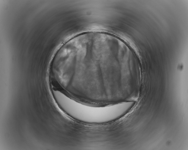 X0000098211429200805151241