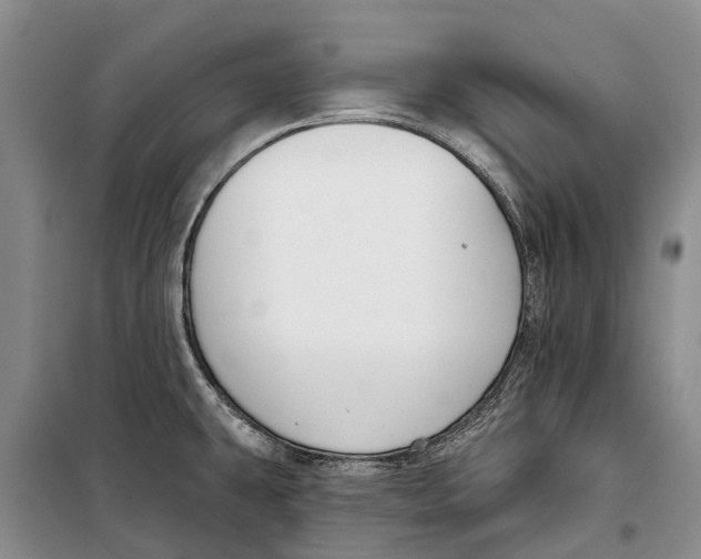 X0000098211431200805151241