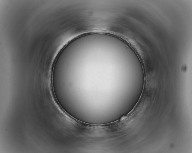 X0000098211432200805151241
