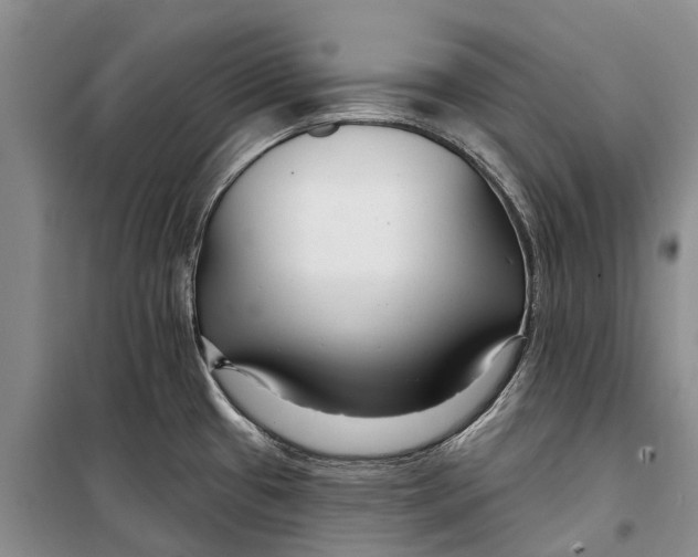 X0000098211433200805151241